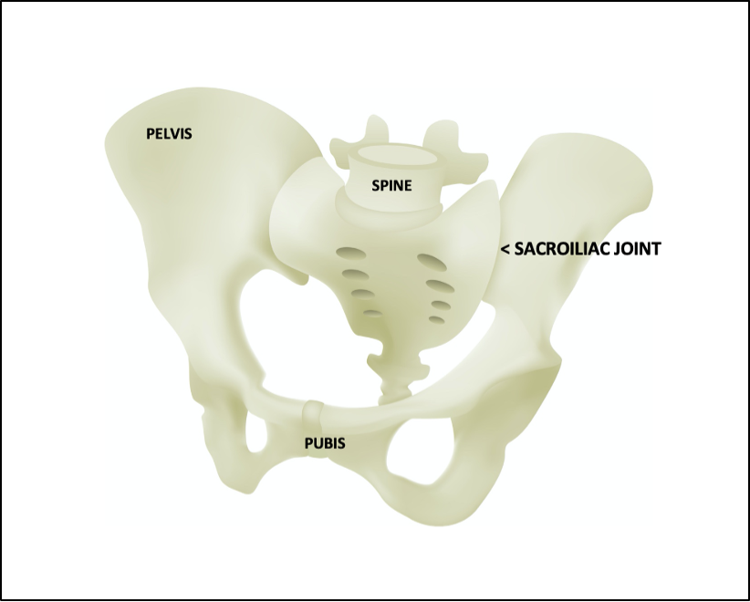 Sacroiliac joint anatomy | Where is your Sacroiliac joint? | Mangattil Rajesh | Spinesurgeon London |